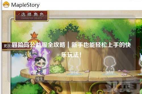 冒险岛公益服全攻略｜新手也能轻松上手的快乐玩法！
