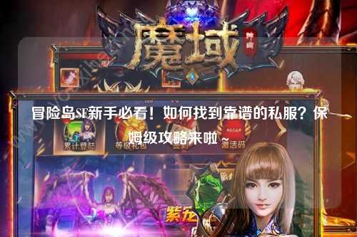 冒险岛SF新手必看！如何找到靠谱的私服？保姆级攻略来啦～
